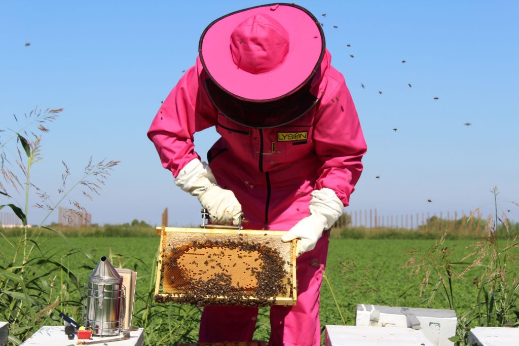 Pollination service
