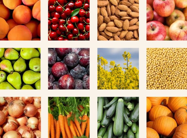 Up to 30% higher yields