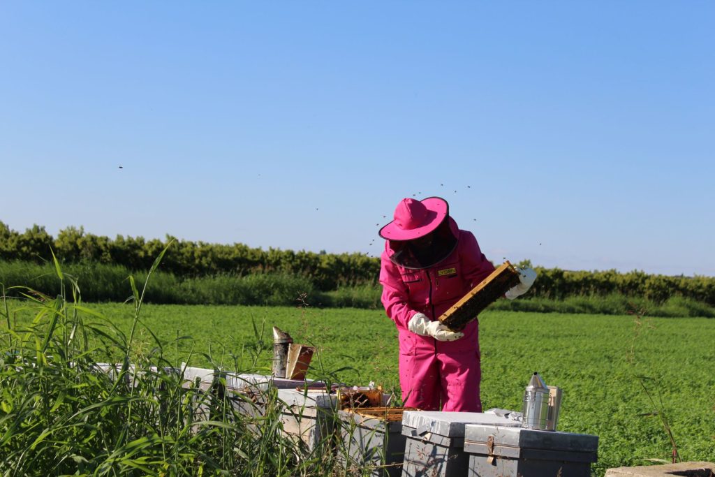Pollination service